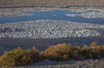 Badwater Basin