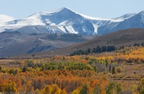 Dunderberg Peak and Meadow