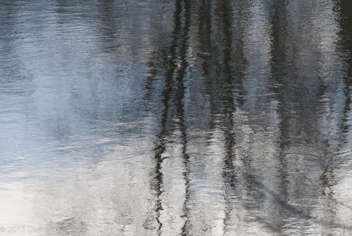 Reflections on Potomac near Billy Goat Trail