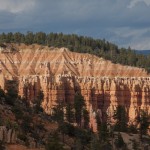 IMG_7109