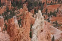 Canyon Floor