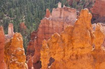 Navajo Loop Trail – Descending