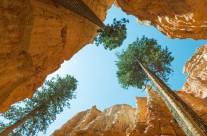 Canyon Skyscrapers