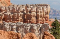A Gathering of Hoodoos