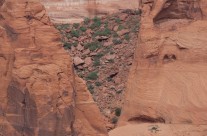 Cone Full of Loose Rock and Sage