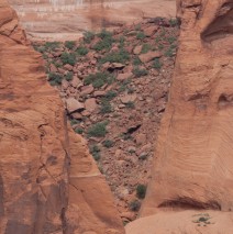 Cone Full of Loose Rock and Sage