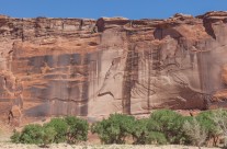 Sheer Canyon Wall
