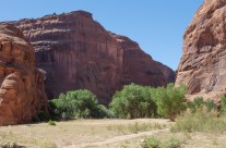 Lush Canyon